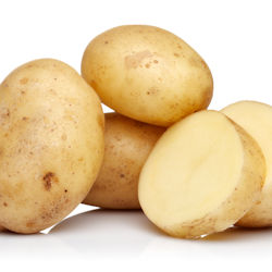 Koifutter Kartoffel